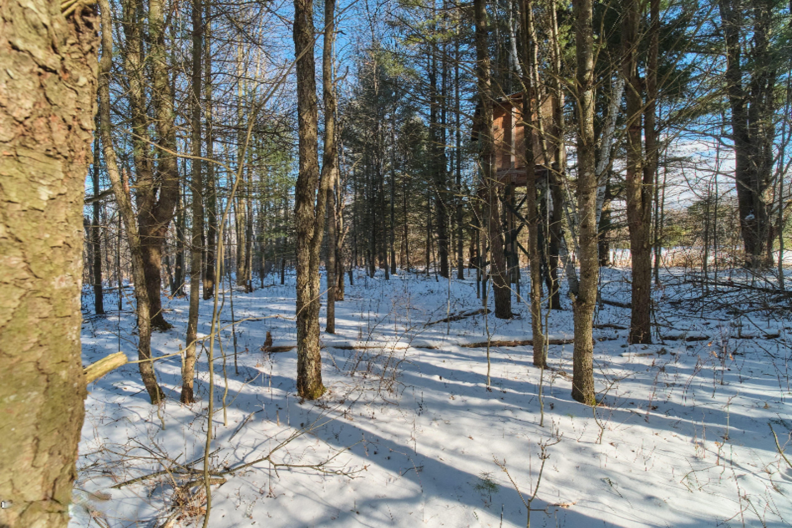 Nessen City Road Copemish, MI 49625 - Photo 31 of 31 Additional photo