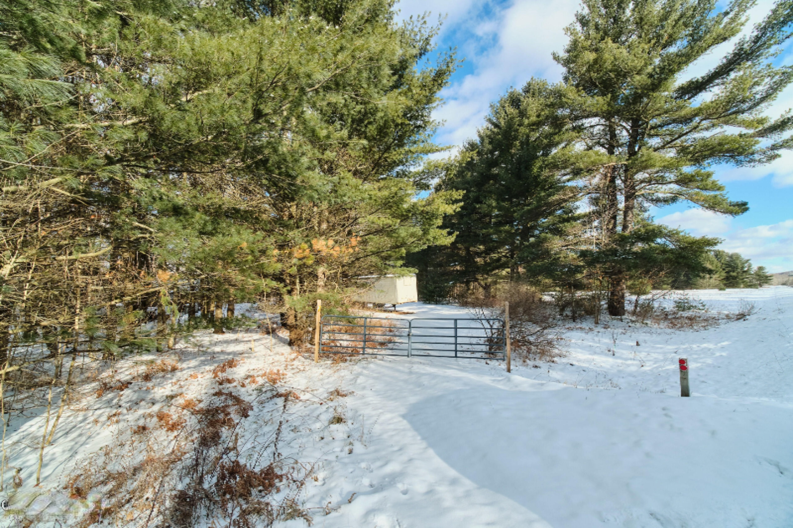 Nessen City Road Copemish, MI 49625 - Photo 6 of 31 Entrance view from road