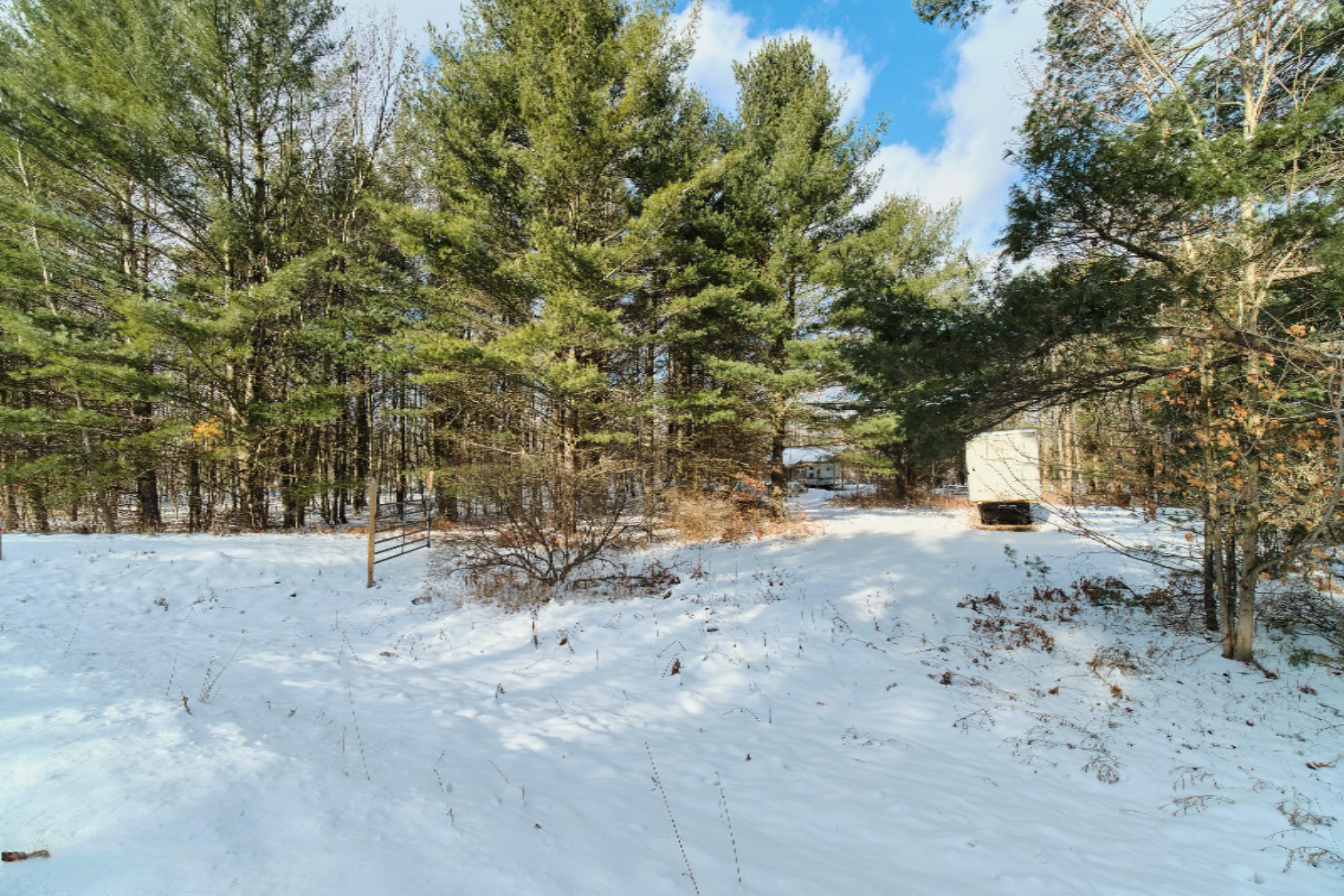 Nessen City Road Copemish, MI 49625 - Photo 9 of 31 Additional photo
