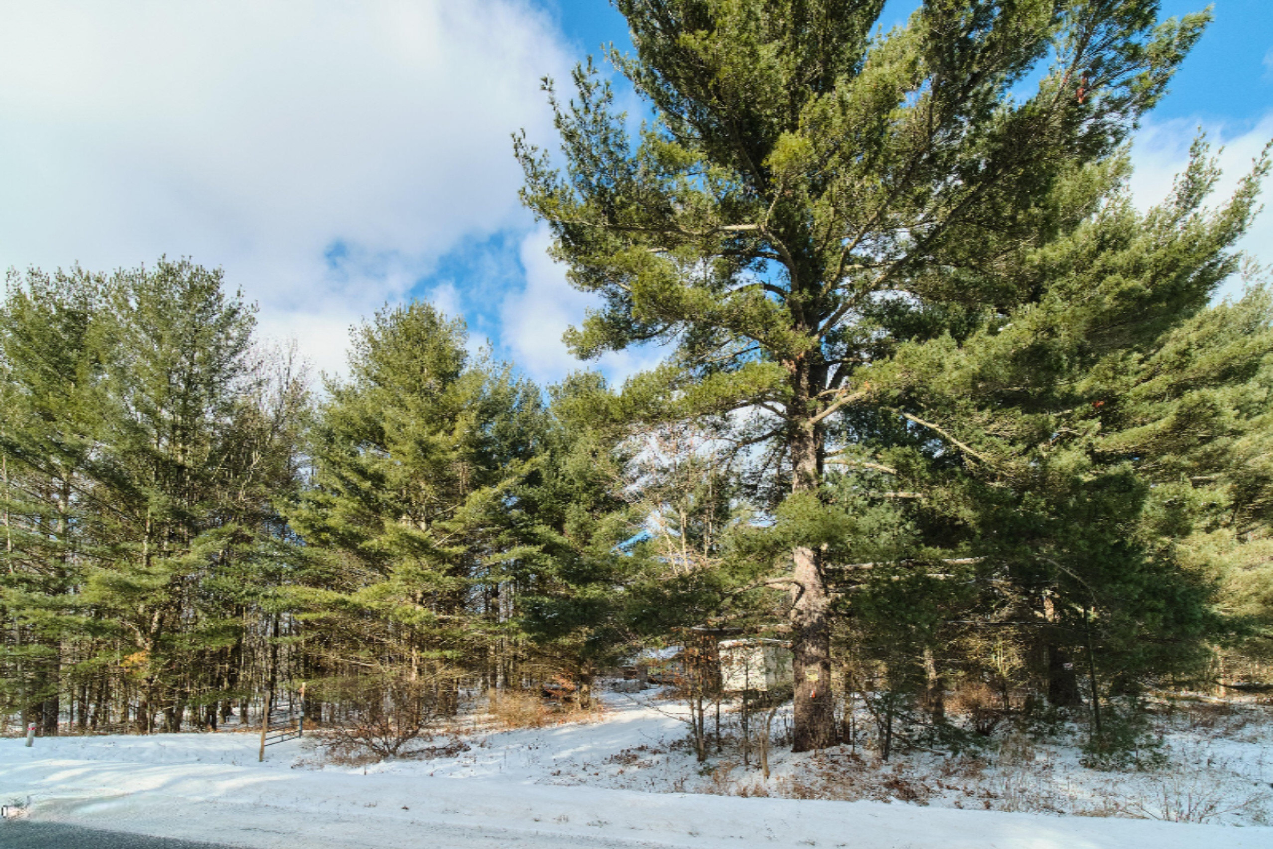 Nessen City Road Copemish, MI 49625 - Photo 10 of 31 Additional photo