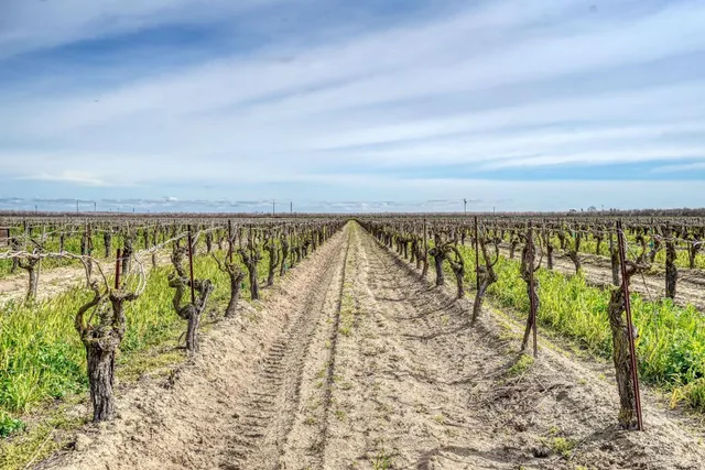 $1,350,000 | 350 North Floyd Avenue, Fresno, CA 93706