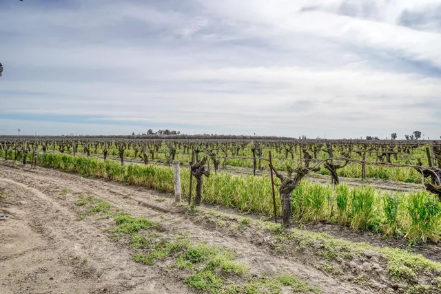 $1,350,000 | 350 North Floyd Avenue, Fresno, CA 93706