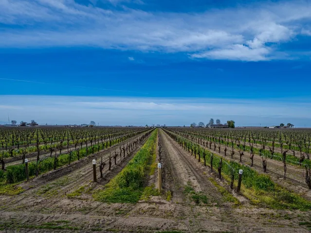 $1,350,000 | 350 North Floyd Avenue, Fresno, CA 93706