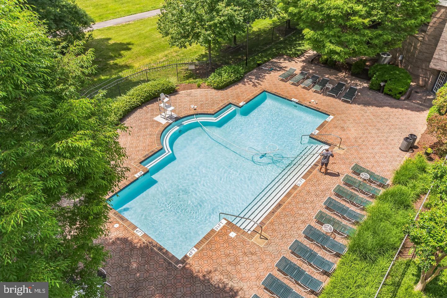 5575 Seminary Road, Unit 312 Falls Church, VA 22041 - Photo 18 of 24 Outdoor pool