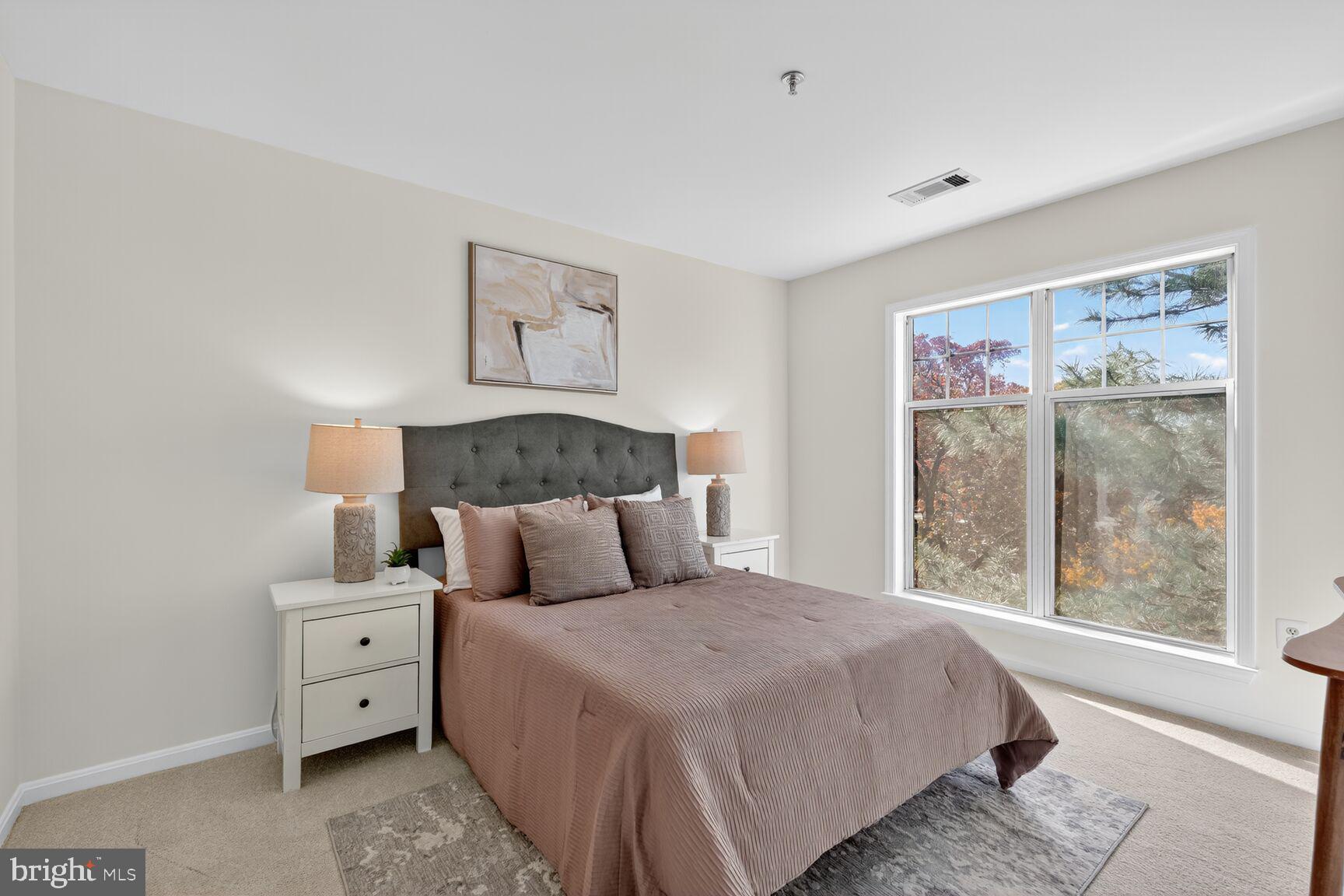 5575 Seminary Road, Unit 312 Falls Church, VA 22041 - Photo 10 of 24 Primary bedroom with new carpet and paint