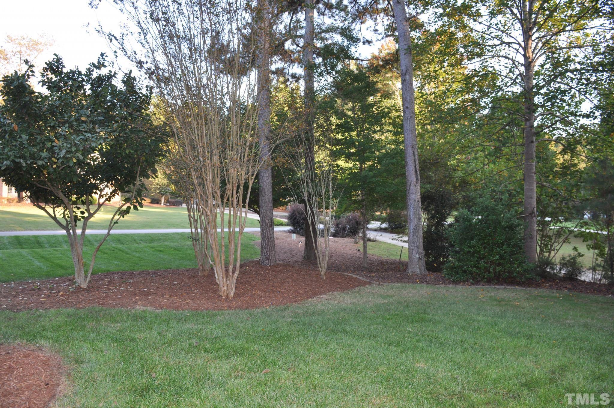 6617 Swallowtail Lane Raleigh, NC 27613 - Photo 4 of 30 a view of a park with large trees