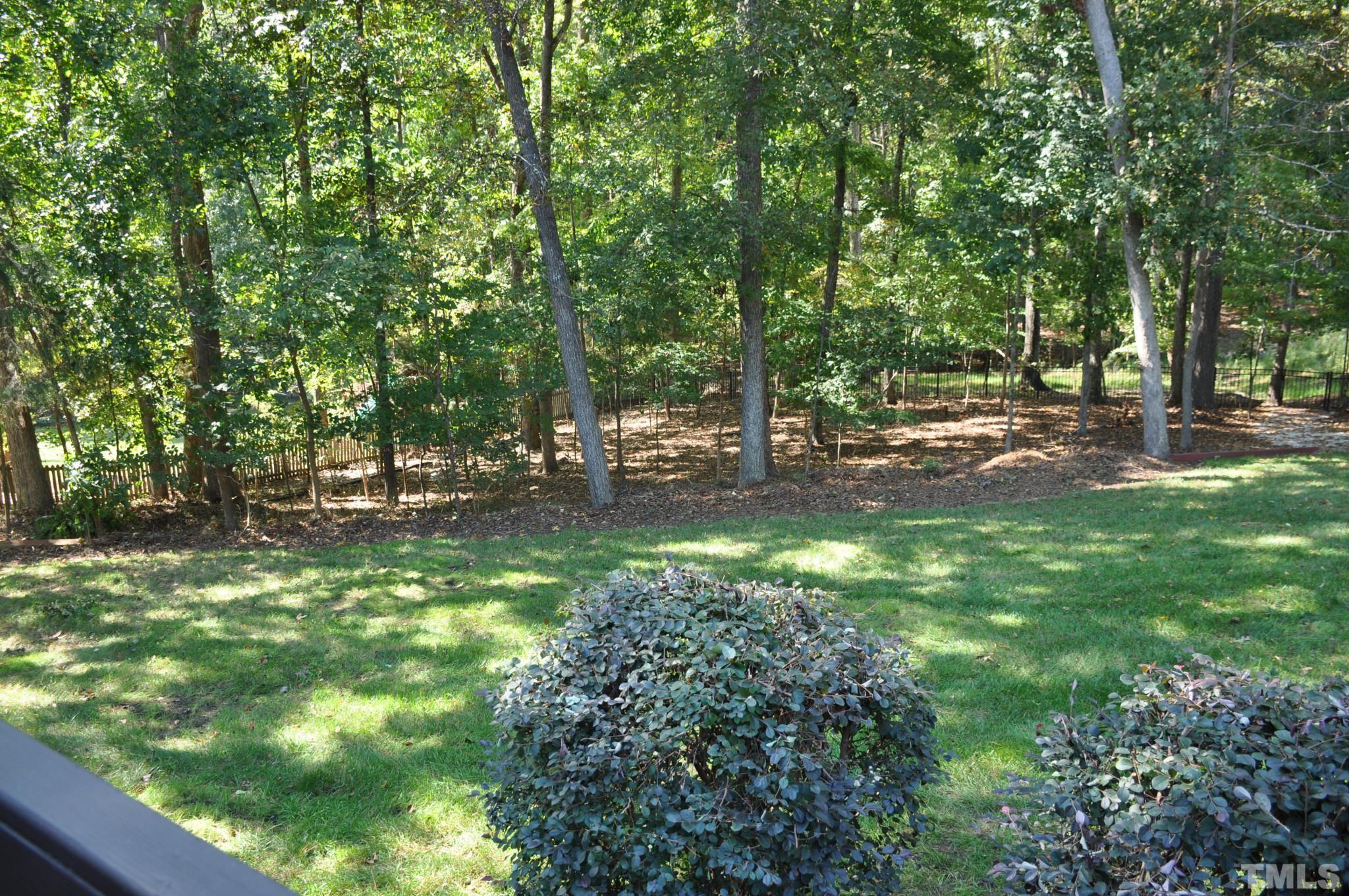 6617 Swallowtail Lane Raleigh, NC 27613 - Photo 8 of 30 a view of a tree in a yard