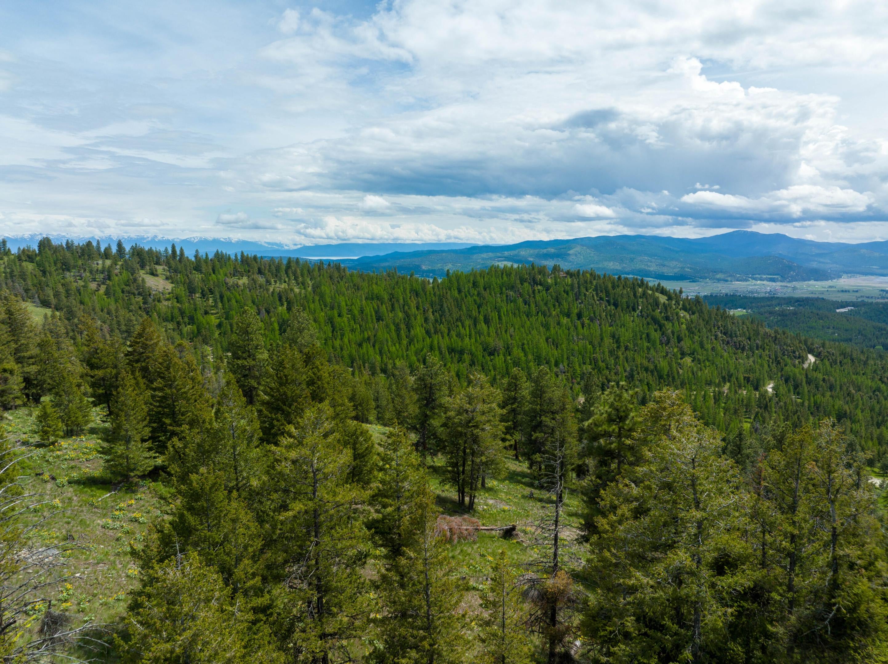 Nhn Copper Road Kalispell, MT 59901 - Photo 9 of 14 Gallery Image 9