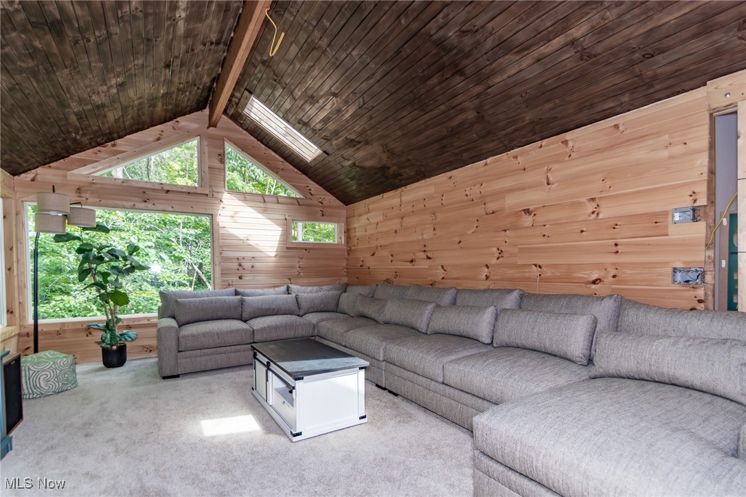 9723 Thwing Road Chardon, OH 44024 - Photo 11 of 42 Carpeted living room with wood walls and wood ceiling