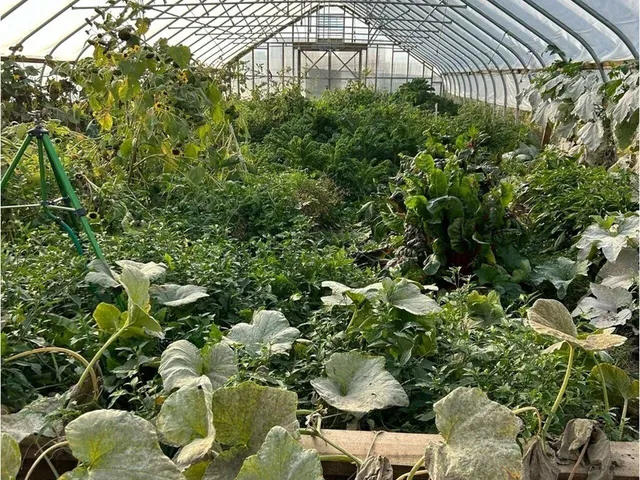 $1,300,000 | 183 Morrie Road, Washington, VT 05675