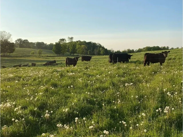 $1,300,000 | 183 Morrie Road, Washington, VT 05675