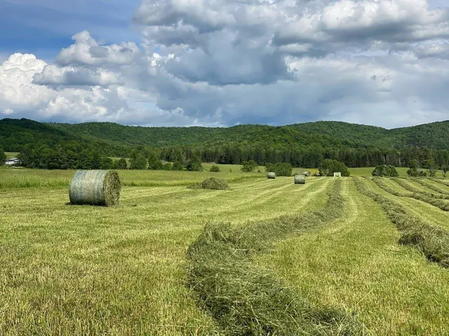 $1,300,000 | 183 Morrie Road, Washington, VT 05675