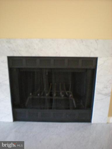 6708 Hemlock Point Road New Market, MD 21774 - Photo 17 of 21 Fireplace