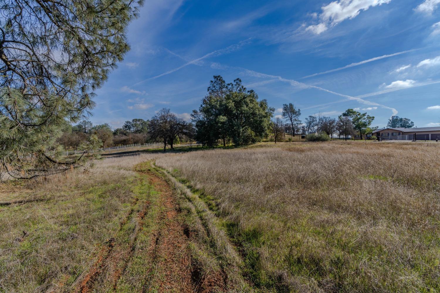 790 Pinon Drive Copperopolis, CA 95228 - Photo 18 of 25 a view of a field with trees