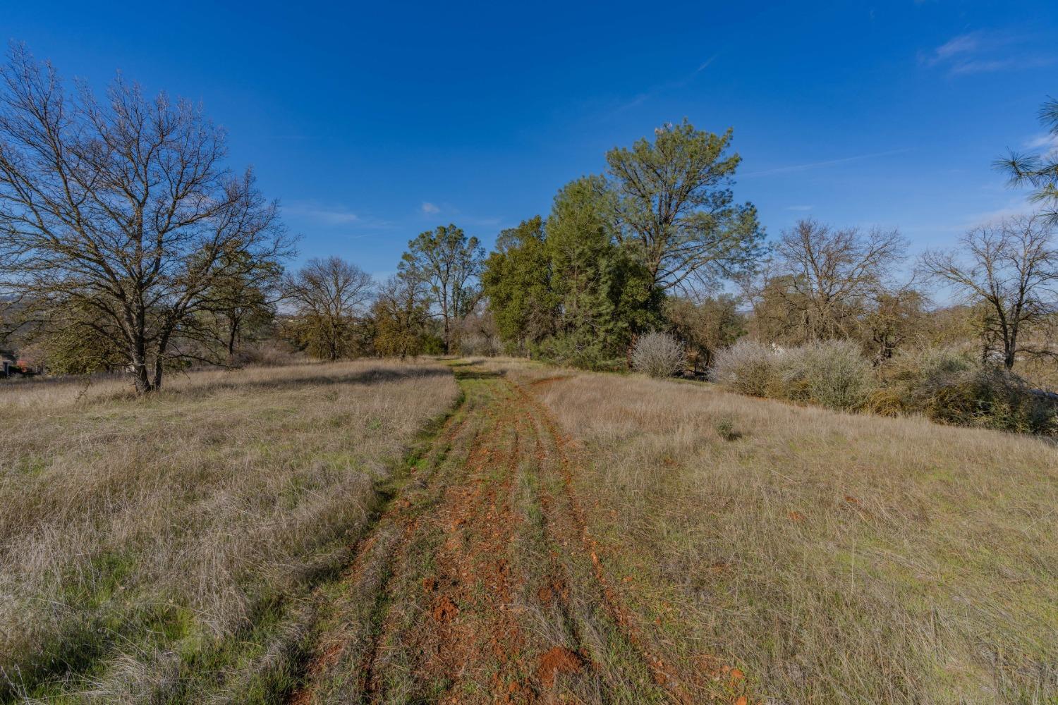 790 Pinon Drive Copperopolis, CA 95228 - Photo 19 of 25 a view of a yard