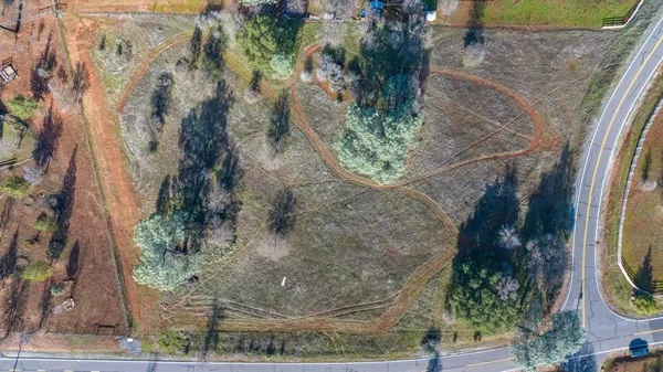 a picture of a tree with a yard