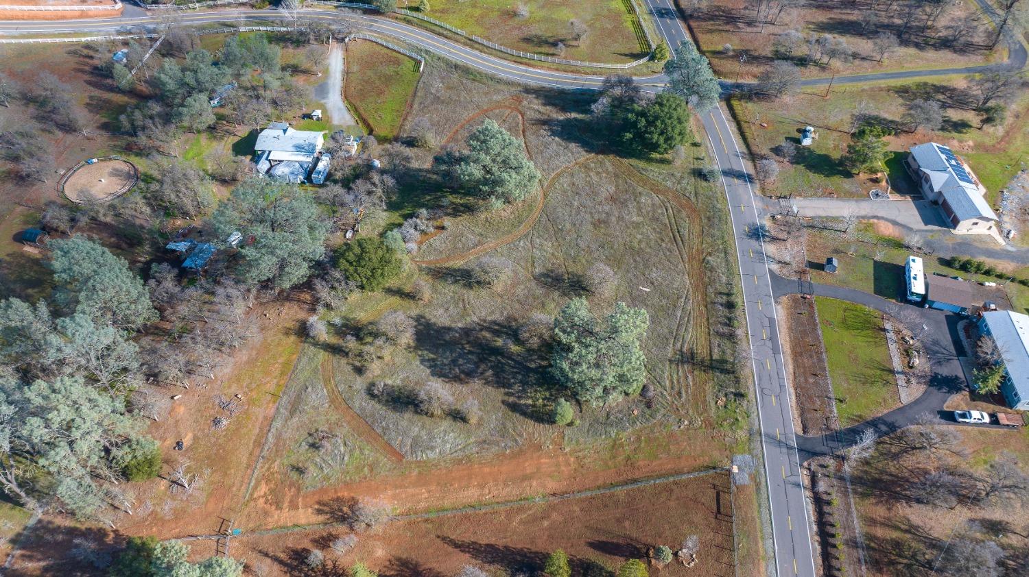 790 Pinon Drive Copperopolis, CA 95228 - Photo 8 of 25 a picture of a tree with a yard
