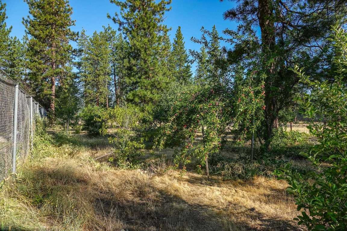 323 Greenview Road Greenview, CA 96037 - Photo 36 of 49 Gallery Image 36