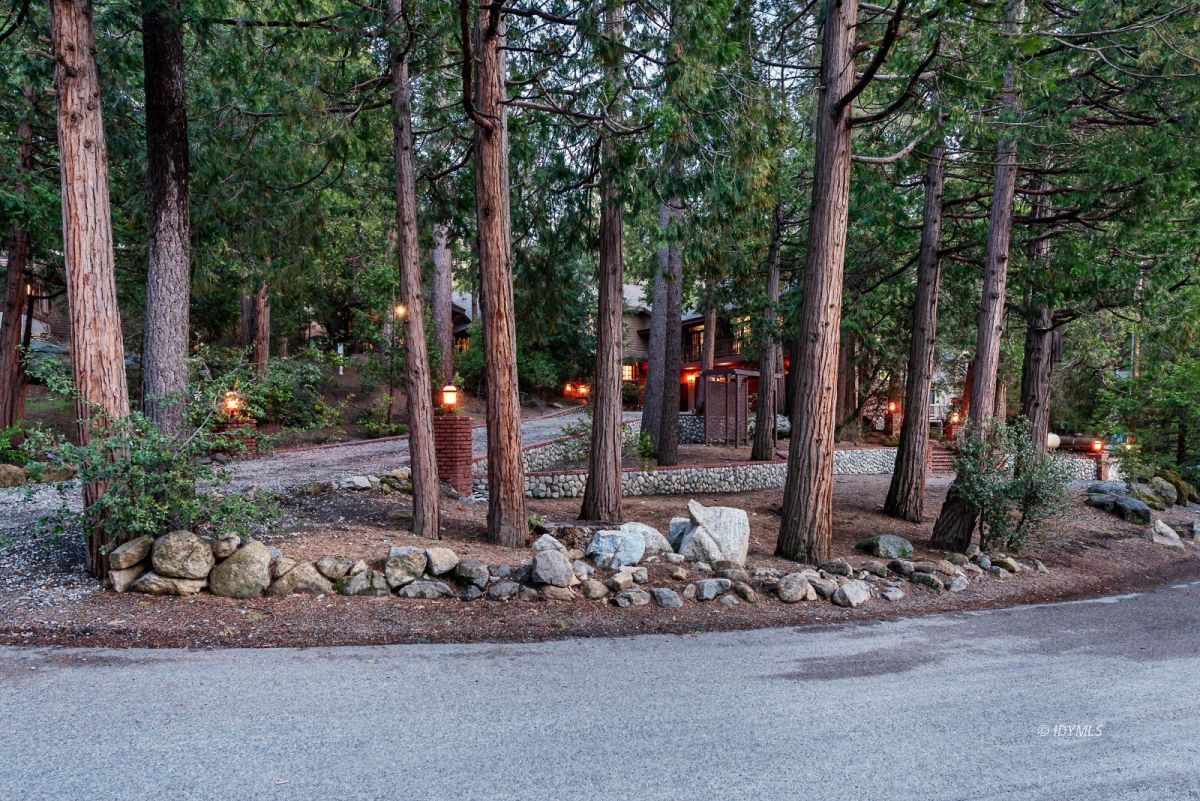 52595 Idyllmont Road Idyllwild, CA 92549 - Photo 5 of 58 a view of a park with tree s