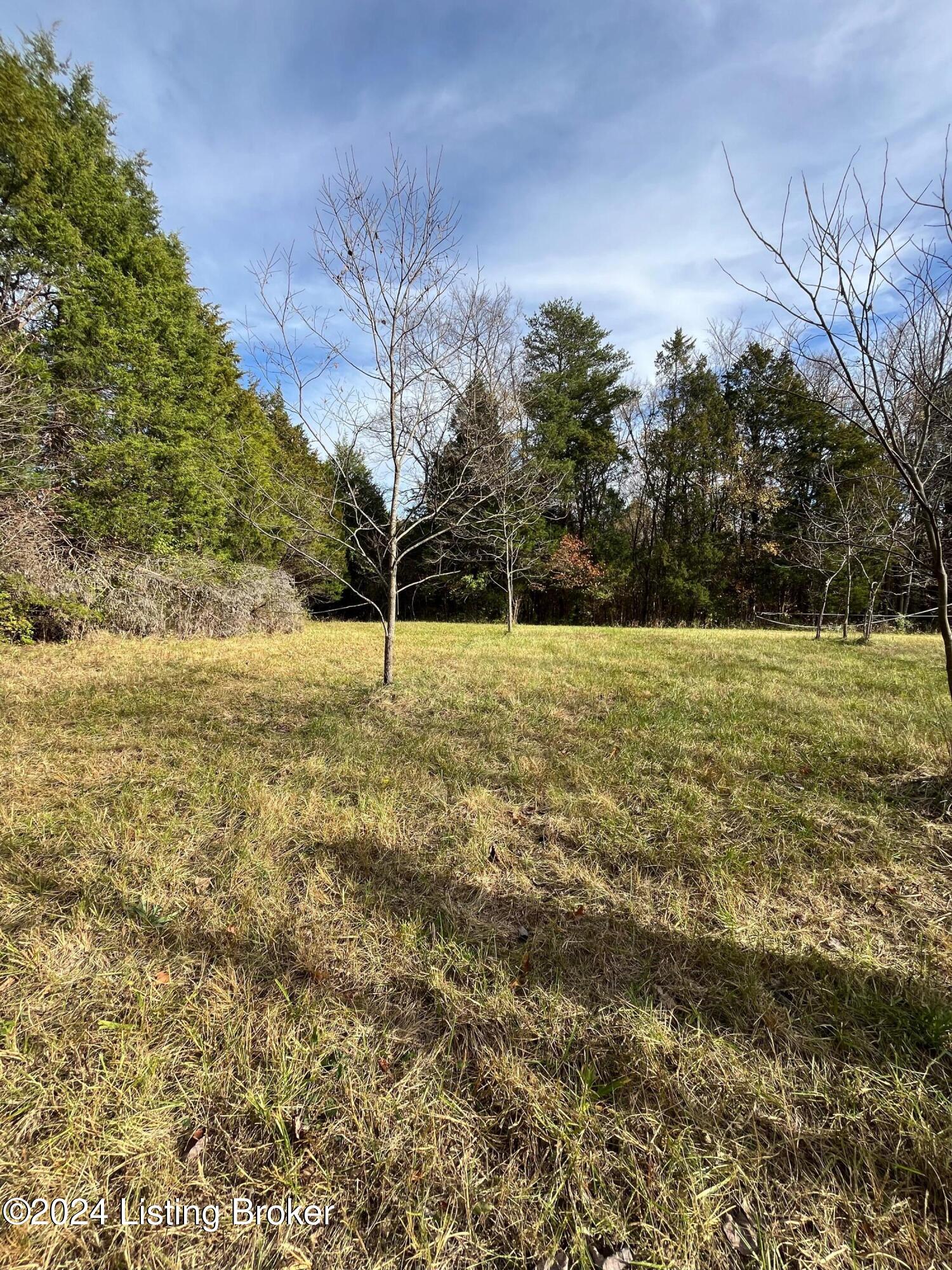 10603 Broad Run Road Louisville, KY 40299 - Photo 28 of 49 image10