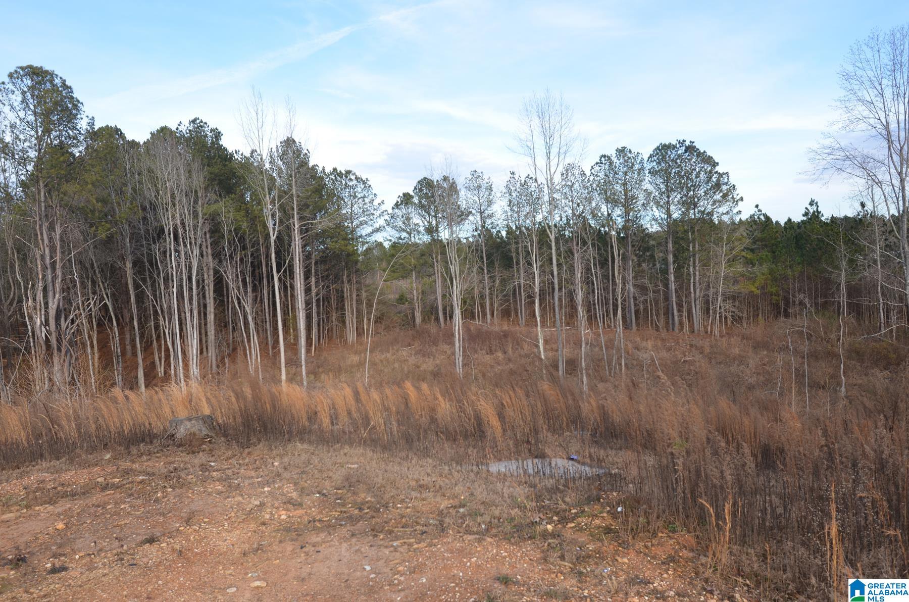 2395 County Road 91 Fruithurst, AL 36262 - Photo 34 of 39