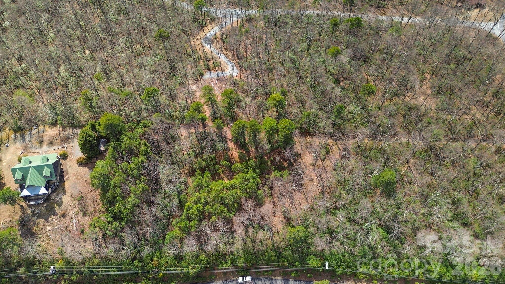 Lot 9 Sunset Ridge Drive, Unit 9 Tryon, NC 28782 - Photo 11 of 19