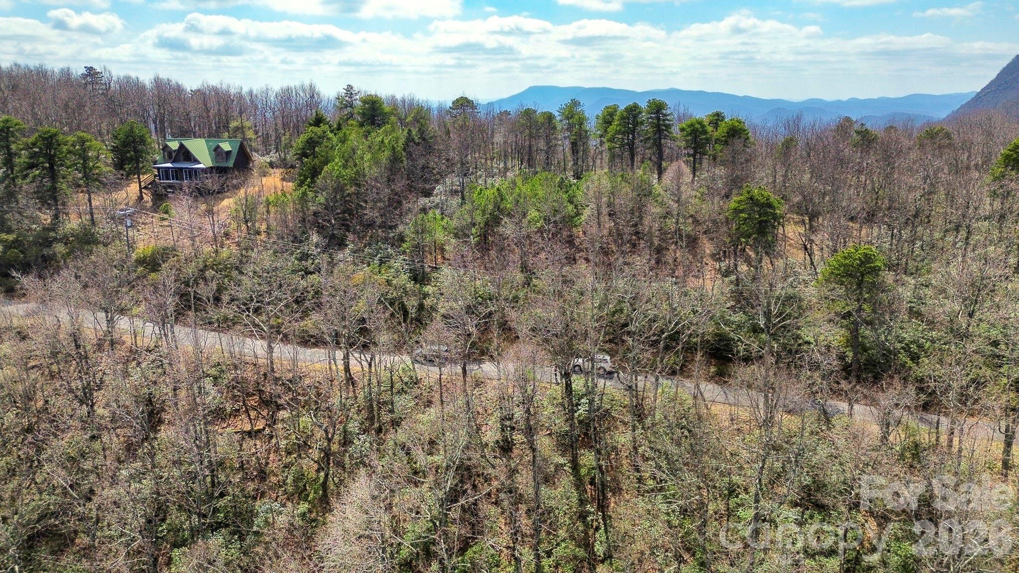Lot 9 Sunset Ridge Drive, Unit 9 Tryon, NC 28782 - Photo 3 of 19