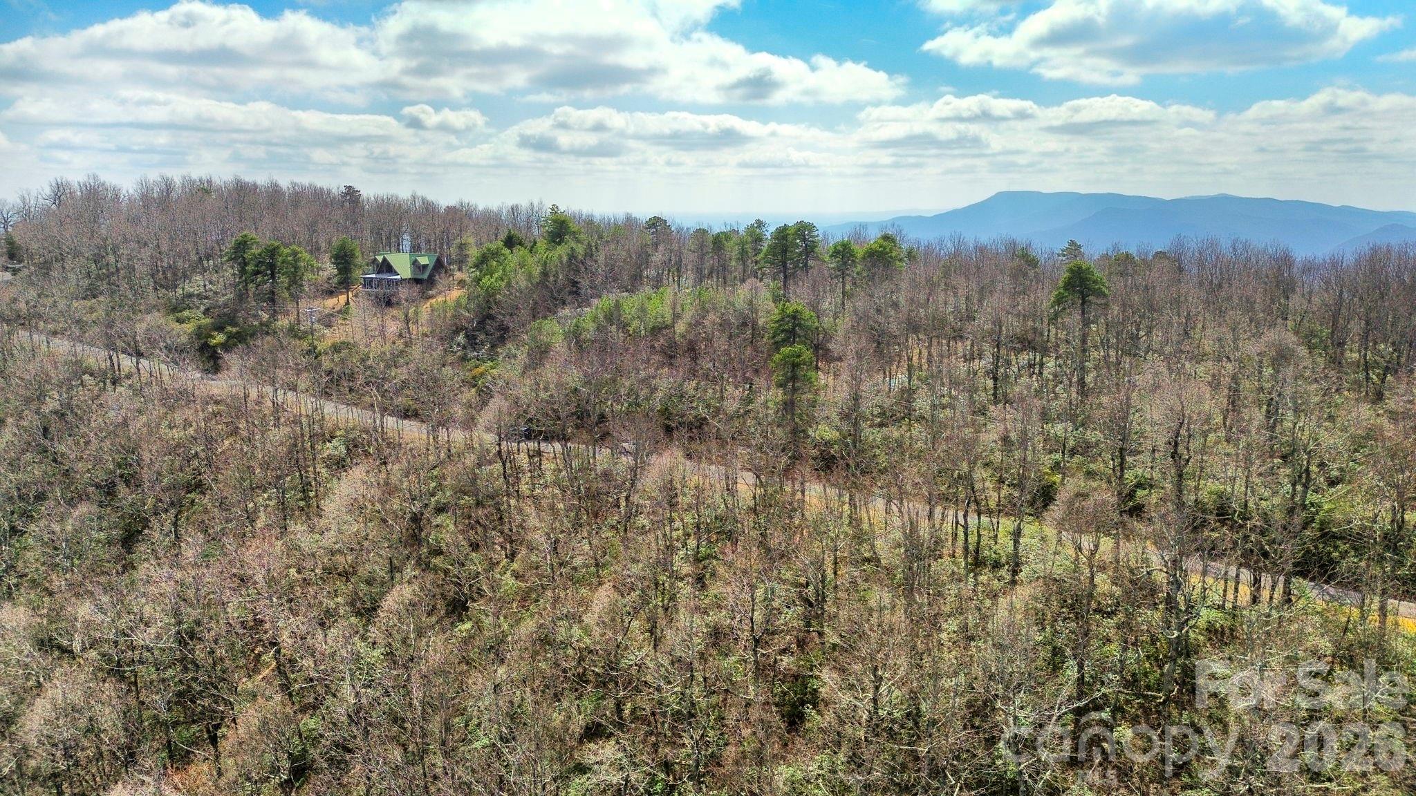 Lot 9 Sunset Ridge Drive, Unit 9 Tryon, NC 28782 - Photo 4 of 19