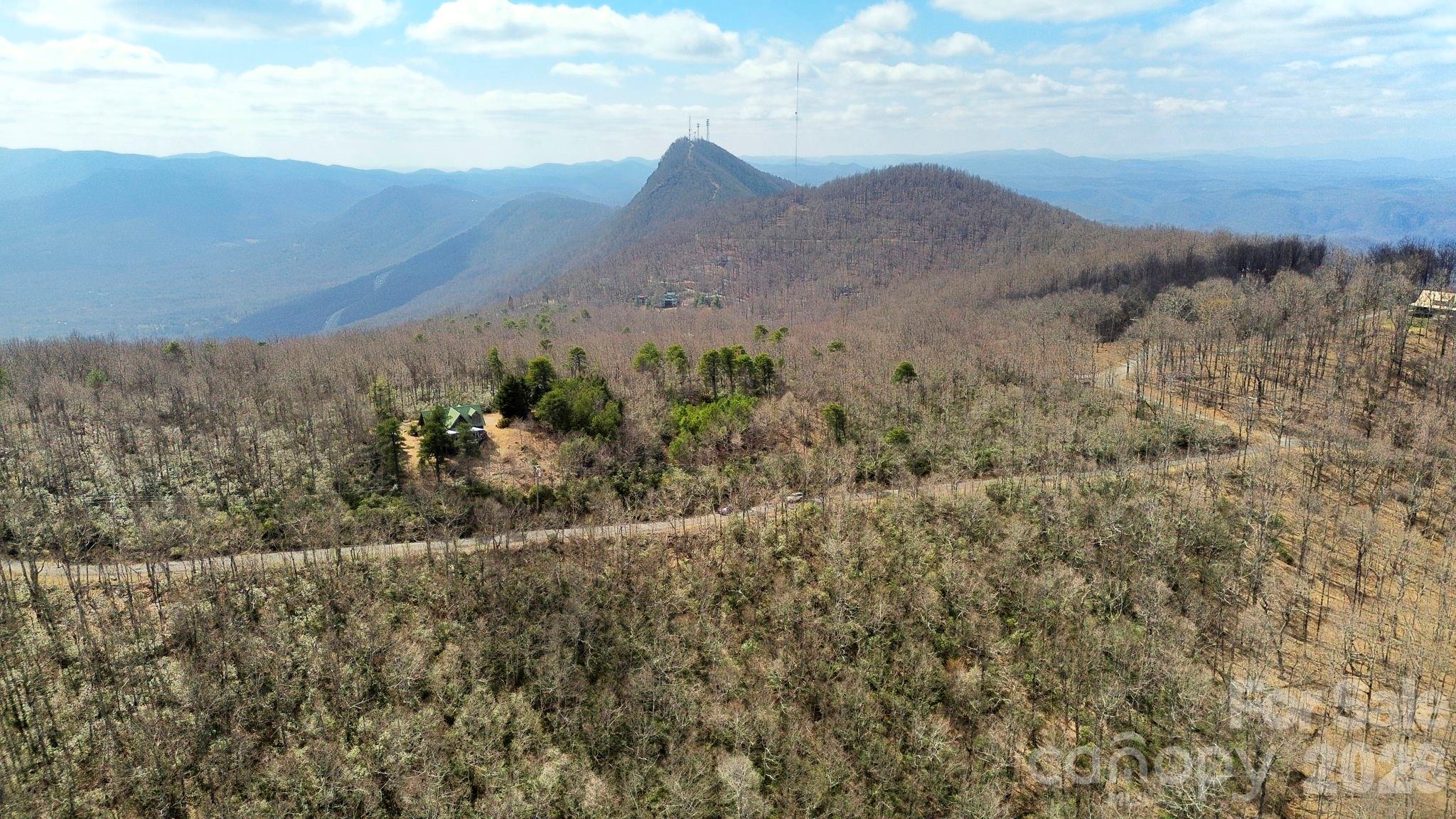 Lot 9 Sunset Ridge Drive, Unit 9 Tryon, NC 28782 - Photo 6 of 19
