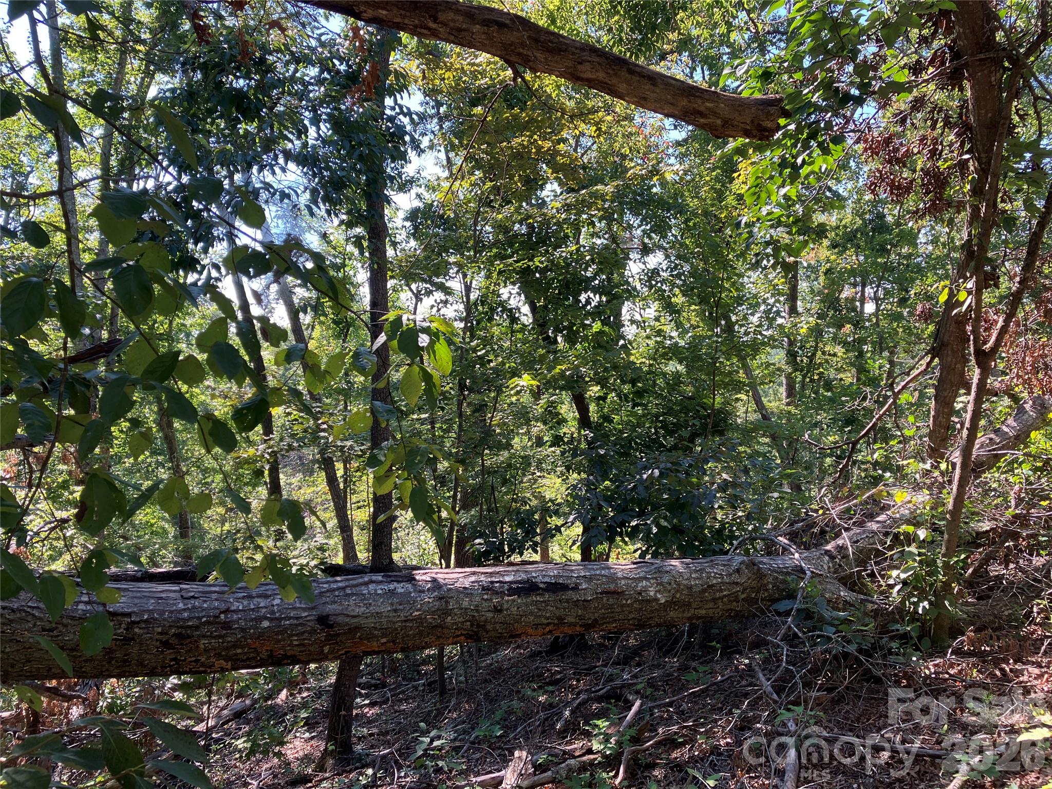0 Tyler Terrace, Unit LOT 11 Rutherfordton, NC 28139 - Photo 9 of 17 Gallery Image 9