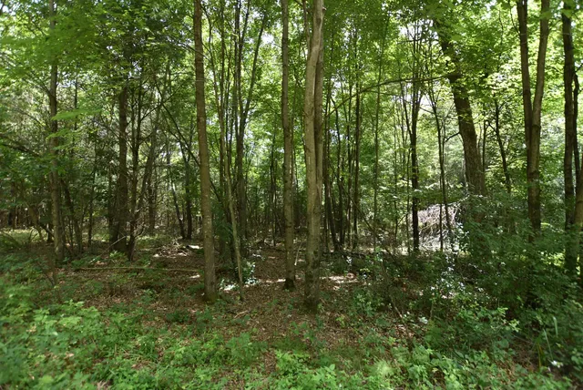 $775,000 | W8970 Cottonville Drive, Wautoma, WI 54982