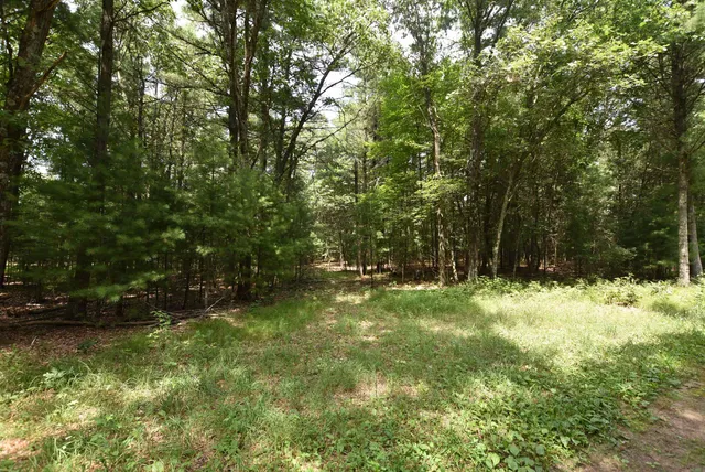 $775,000 | W8970 Cottonville Drive, Wautoma, WI 54982