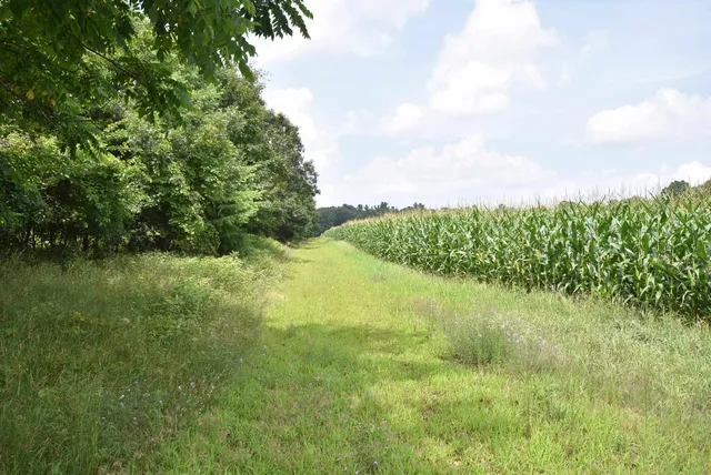 $775,000 | W8970 Cottonville Drive, Wautoma, WI 54982