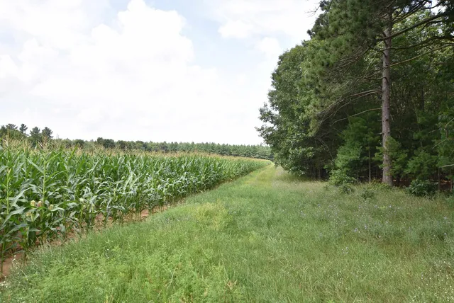 $775,000 | W8970 Cottonville Drive, Wautoma, WI 54982