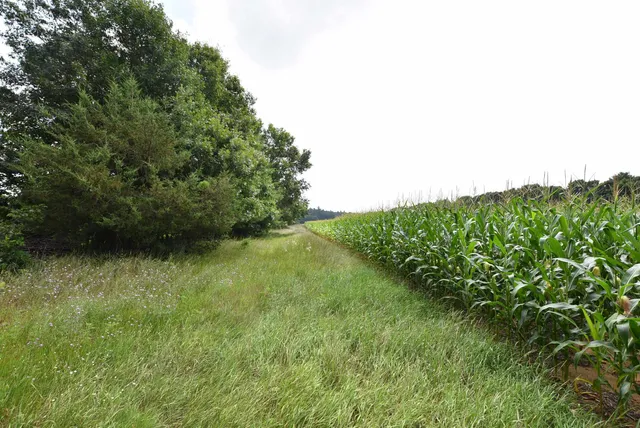 $775,000 | W8970 Cottonville Drive, Wautoma, WI 54982