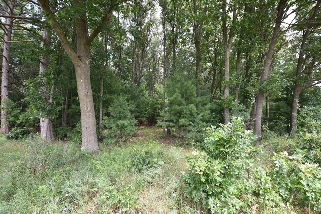 $775,000 | W8970 Cottonville Drive, Wautoma, WI 54982