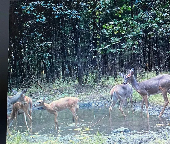 $775,000 | W8970 Cottonville Drive, Wautoma, WI 54982