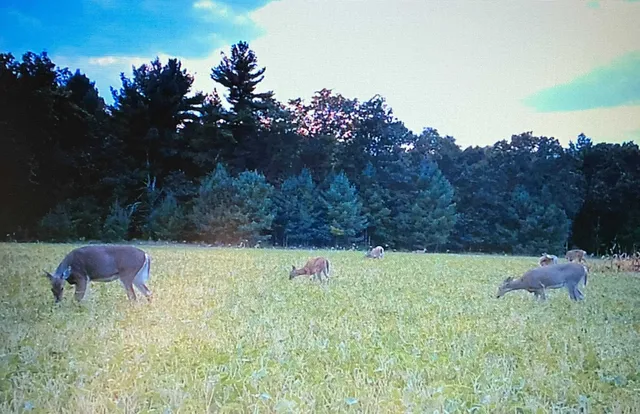 $775,000 | W8970 Cottonville Drive, Wautoma, WI 54982