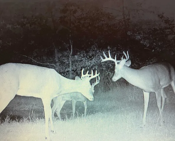 $775,000 | W8970 Cottonville Drive, Wautoma, WI 54982