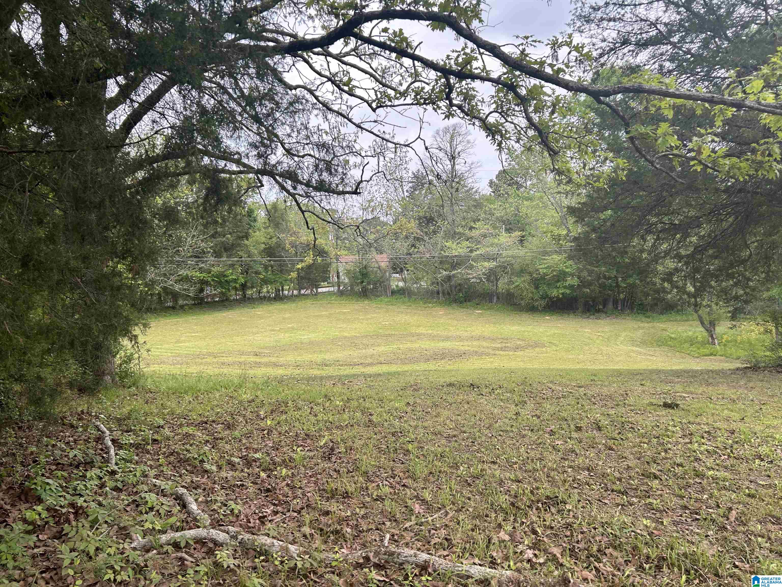 625 Dee Hendrix Road, Unit 6 9 ACRES Bessemer, AL 35023 - Photo 4 of 14