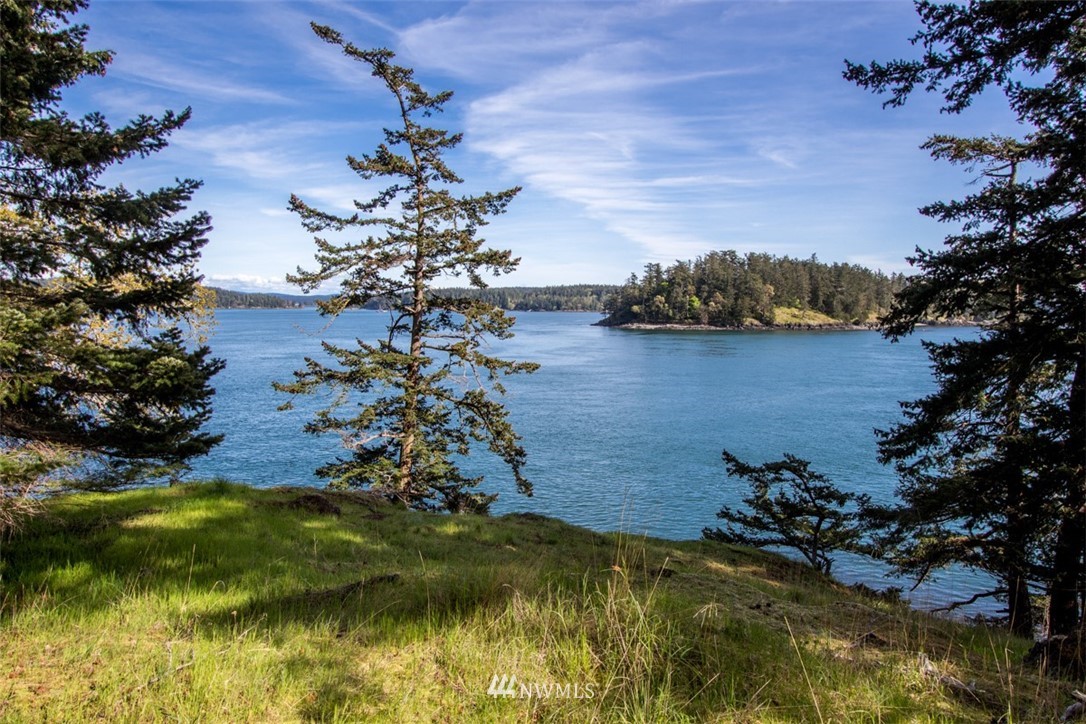 1700 Spring Point Road Orcas Island, WA 98245 - Photo 1 of 21