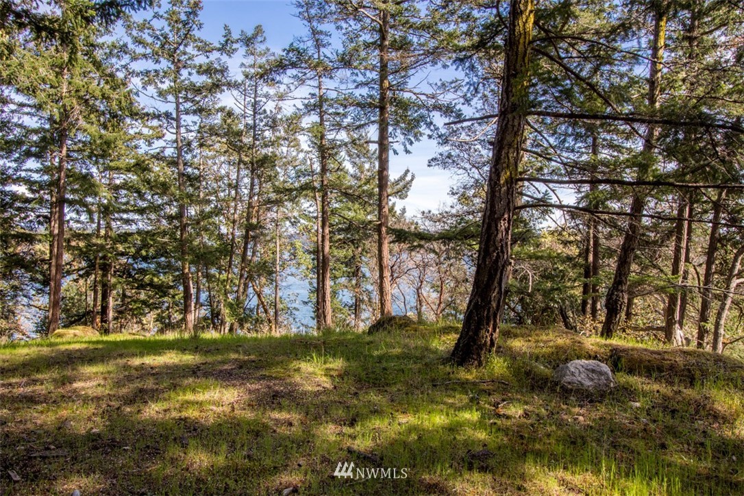 1700 Spring Point Road Orcas Island, WA 98245 - Photo 14 of 21