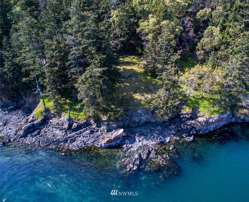 1700 Spring Point Road Orcas Island, WA 98245 - Photo 3 of 21