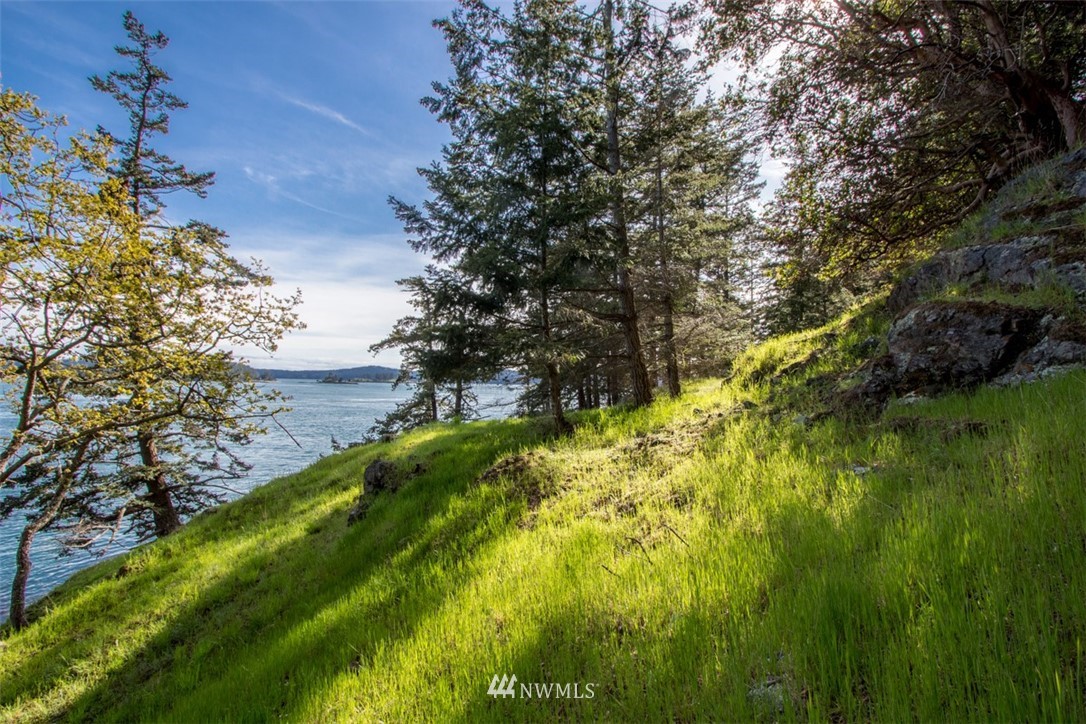 1700 Spring Point Road Orcas Island, WA 98245 - Photo 4 of 21