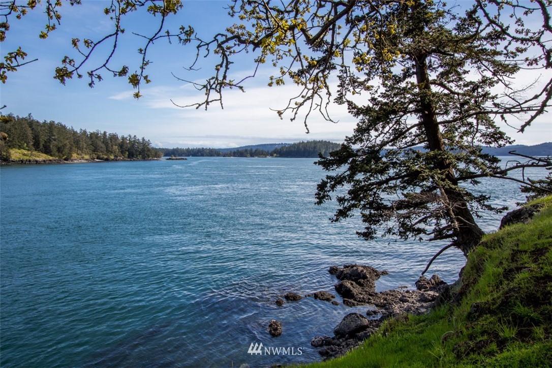 1700 Spring Point Road Orcas Island, WA 98245 - Photo 5 of 21