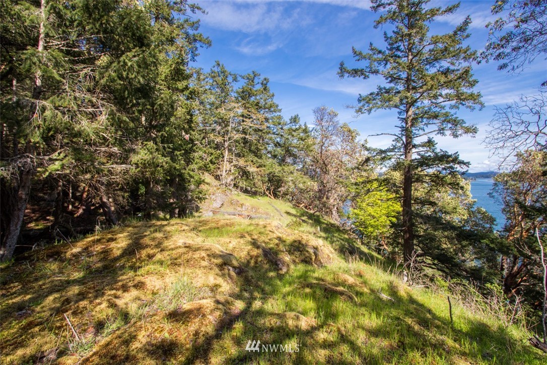 1700 Spring Point Road Orcas Island, WA 98245 - Photo 6 of 21