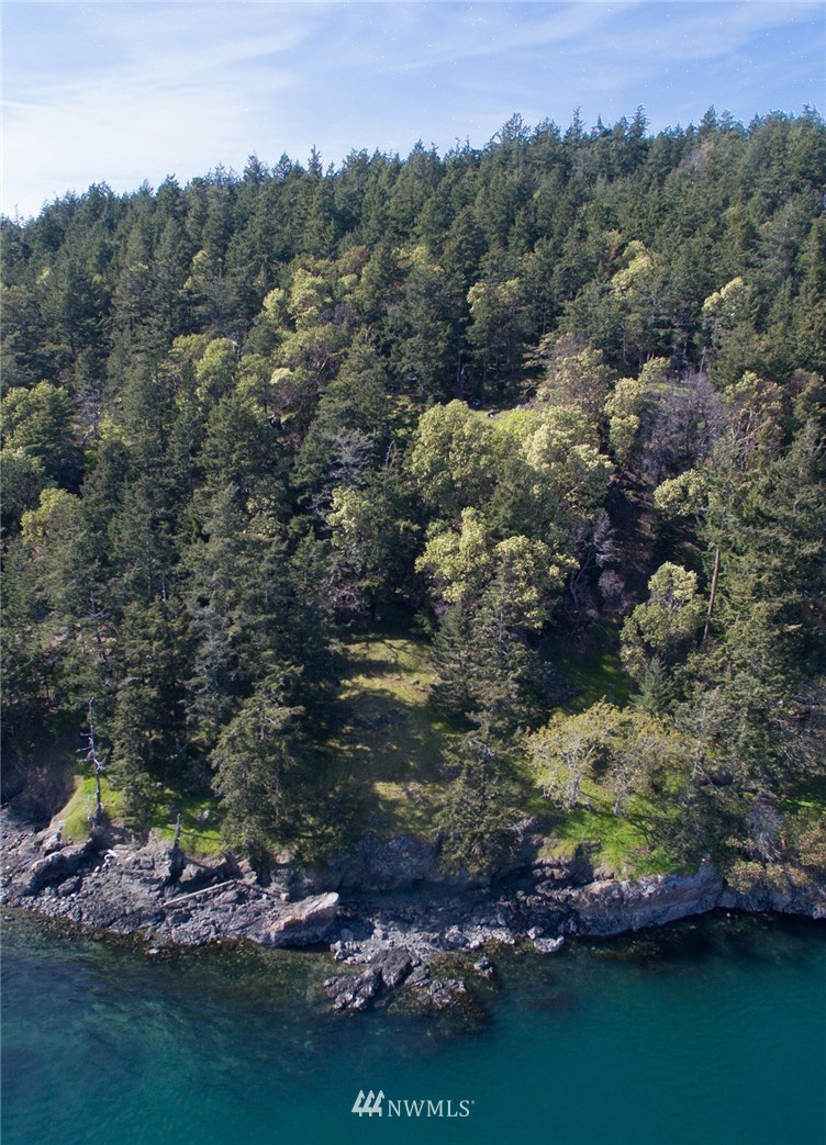 1700 Spring Point Road Orcas Island, WA 98245 - Photo 7 of 21