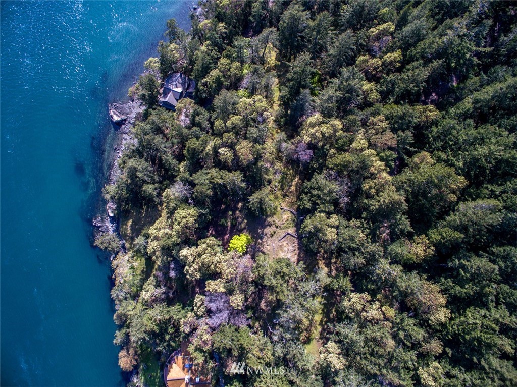 1700 Spring Point Road Orcas Island, WA 98245 - Photo 8 of 21