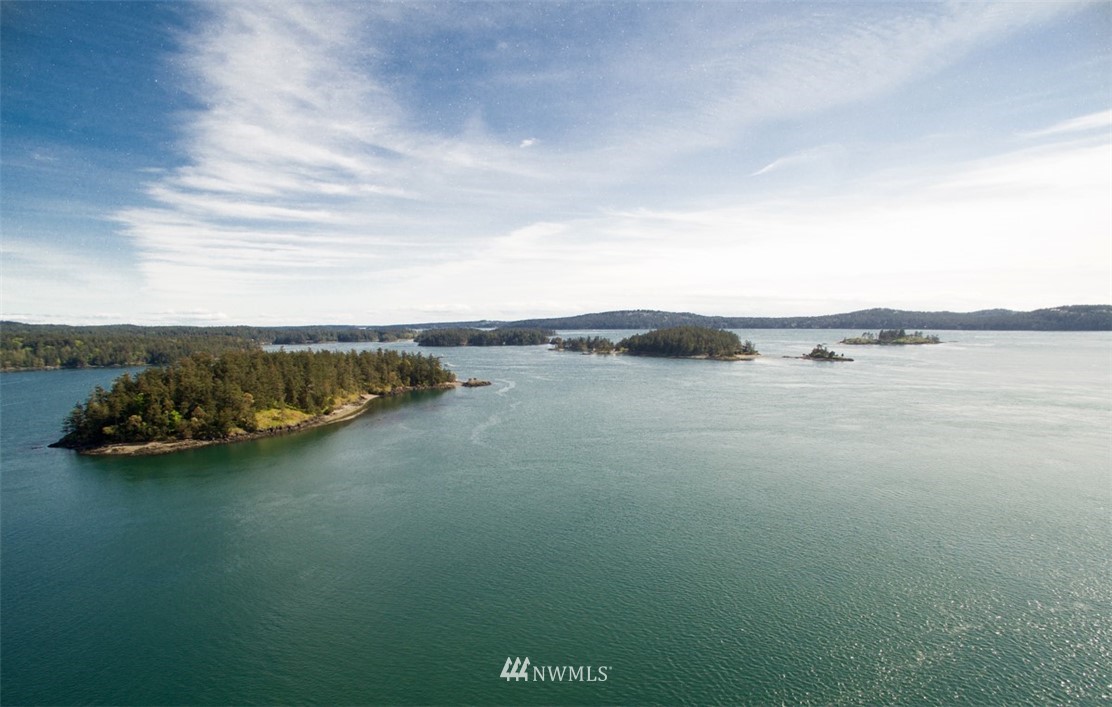 1700 Spring Point Road Orcas Island, WA 98245 - Photo 9 of 21