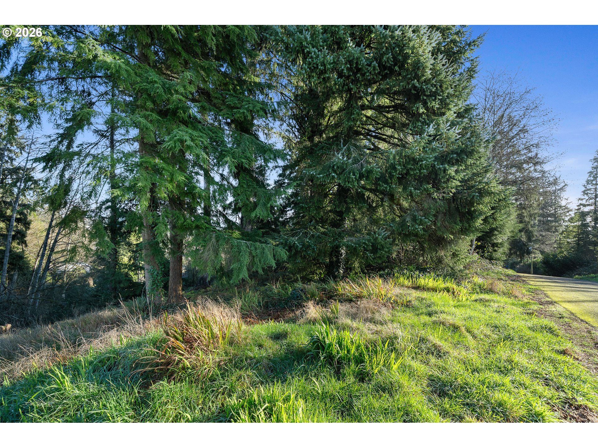 1102 12th Street Bay City, OR 97107 - Photo 11 of 13 a view of a yard